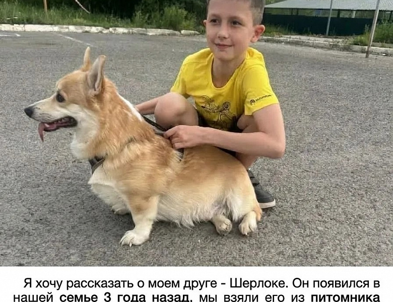Участие в доброй и трогательной акции «Мой любимый питомец»