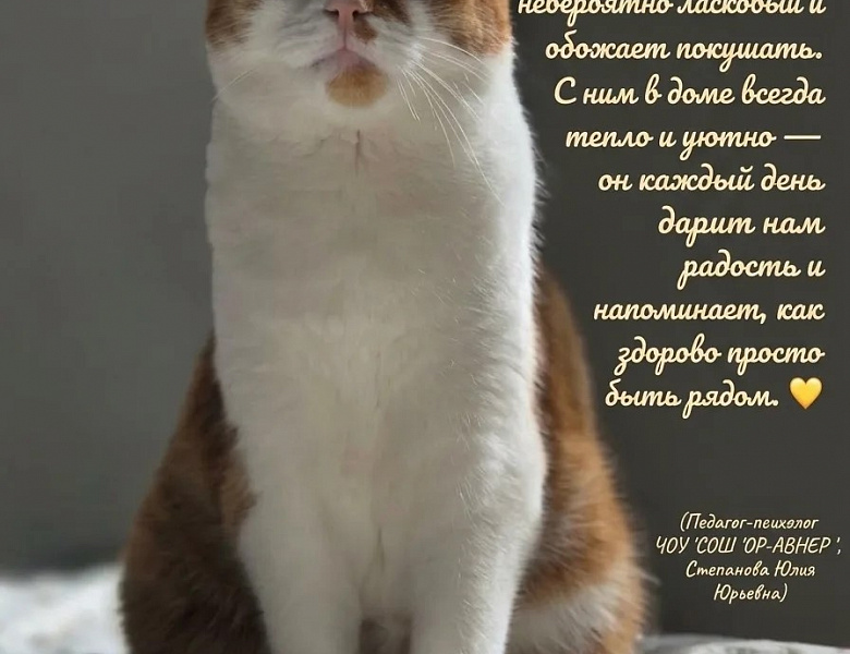 Участие в доброй и трогательной акции «Мой любимый питомец»