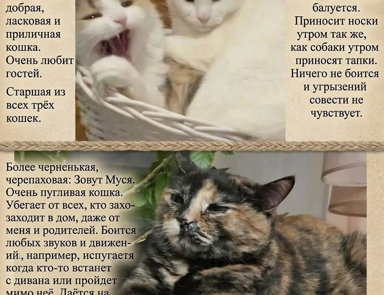 Участие в доброй и трогательной акции «Мой любимый питомец»